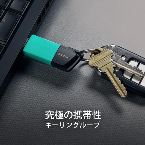 KINGSTON 256GB DTXM/256GB DTExodaM USB3.2 USB BELLEK